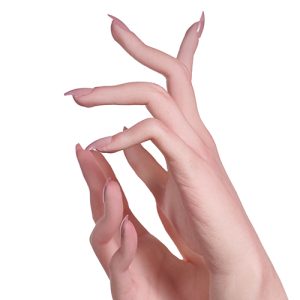 グレースジョイント 手の骨格モデル